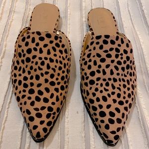 Loft Leopard Mules - DROPPING TMRW 6/18